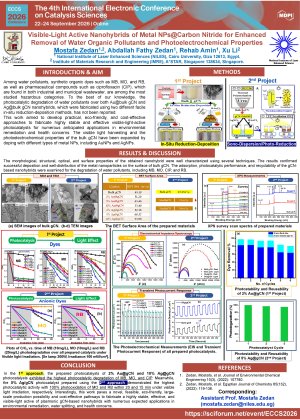 ECCS_Poster_Mostafa Zedan.pdf
